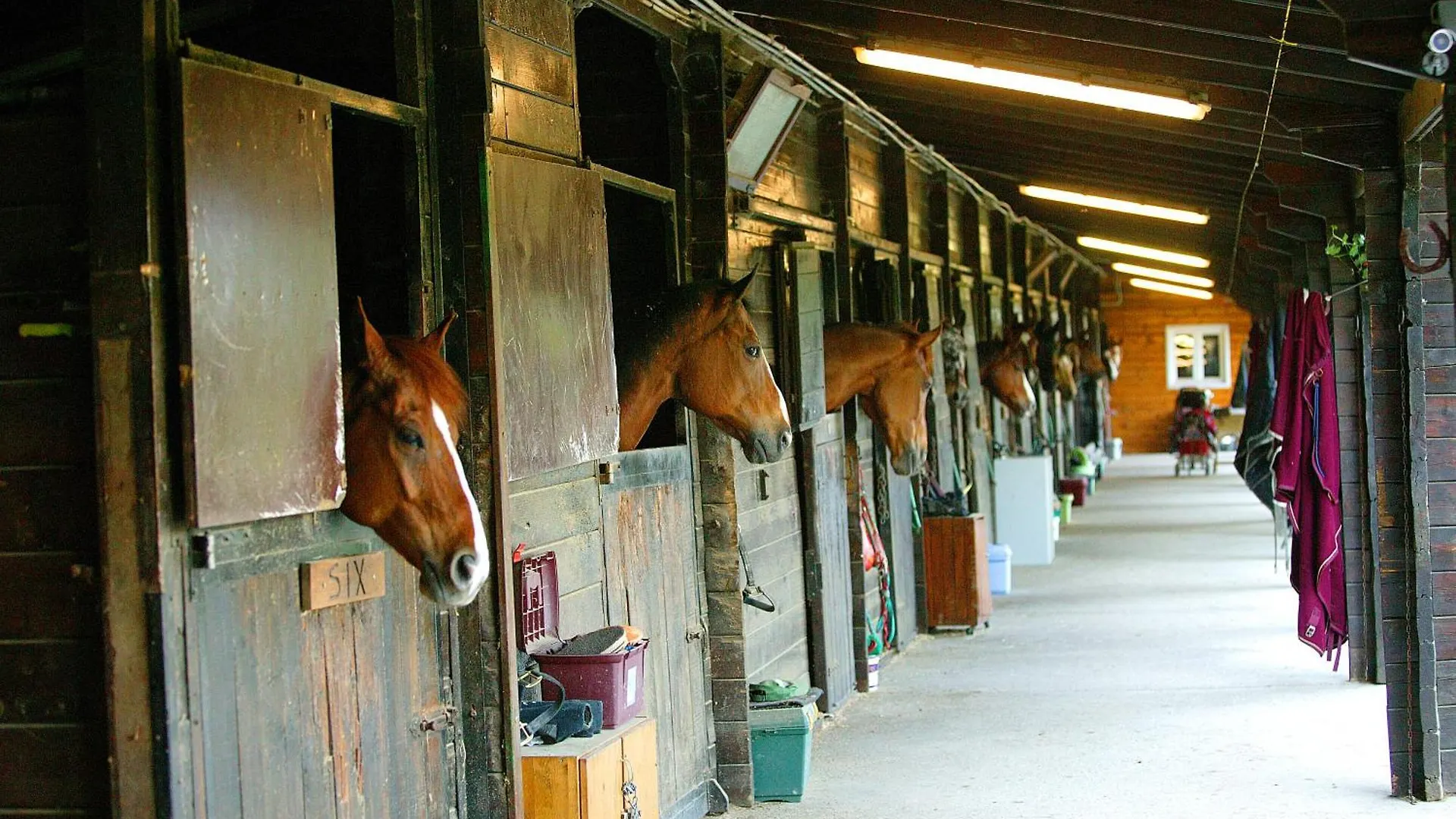 Tenuta Il Burchio Incisa in Val d'Arno